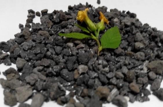 供应天津水处理海绵铁厂家价格