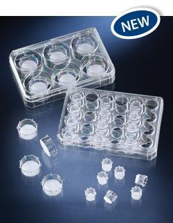 供应Nunc插入式细胞培养皿，孔径0.4um,3um,8um