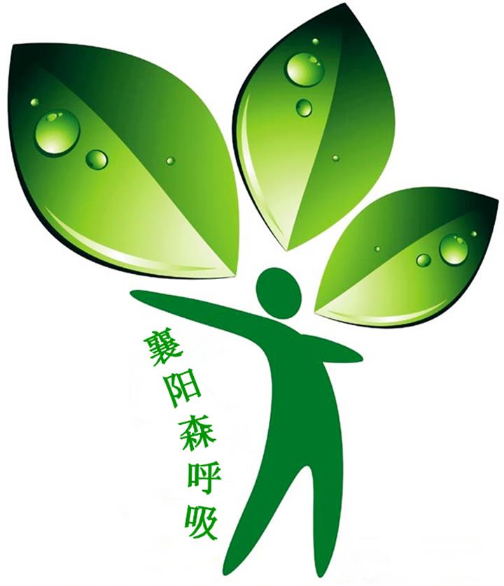 襄阳除甲醛襄阳森呼吸环境工程