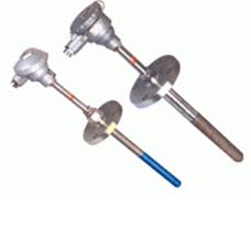 供应WZP2F-130防腐热电阻-天康集团股份有限公司