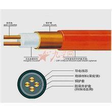 供应FA-BTGYRZ矿物质绝缘电缆-天康股份有限公司