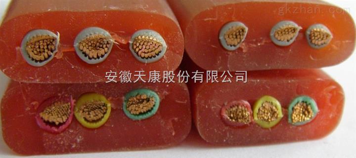 供应YEEB行车扁电缆-安徽天康集团股份有限公司