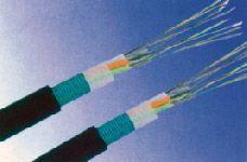 供应GYTY53光缆用途GYTY53光缆价格天康光缆进口材料