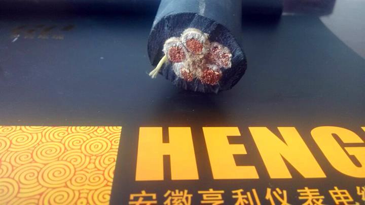 ZR-RFVP高温屏蔽控制电缆-价格/特变电工