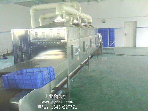 供应威雅斯莲子粉杀菌设备