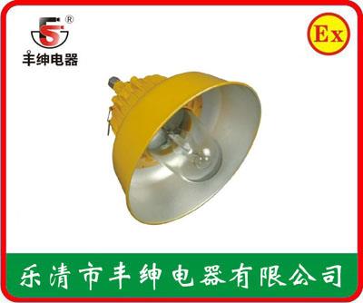 丰绅BLC8600防爆道路灯