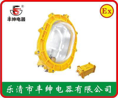 丰绅BFE8120内场防爆应急灯