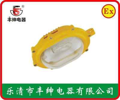 丰绅BFC8120内场强光防爆灯