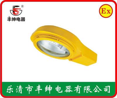 丰绅BLC8610防爆道路灯