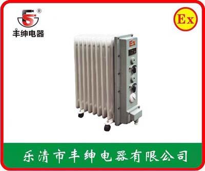 丰绅BDR-1隔爆型密闭式电热油汀