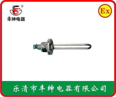 BDR防爆电加热器
