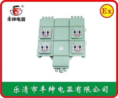 BXM D 51-L防爆配电箱 带漏电保护