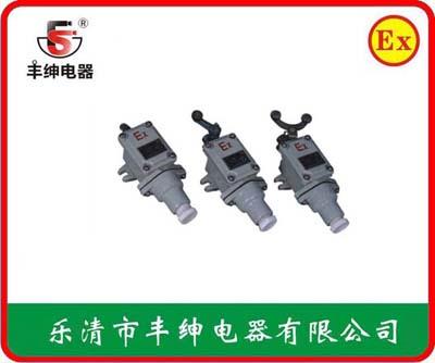 丰绅BZX51-6防爆行程开关