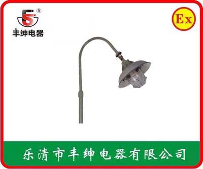 丰绅BAD53-p平台立杆式防爆灯