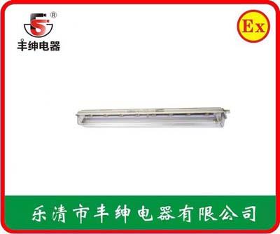 丰绅BAY81-Q防爆全塑荧光灯