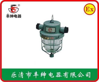 BAD-PD隔爆型防爆灯 棚顶安装