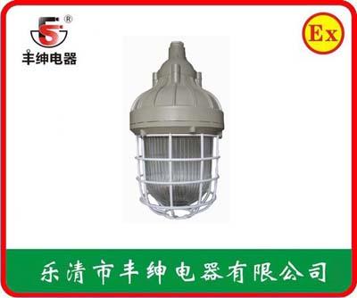 丰绅BAD81防爆紧凑节能灯