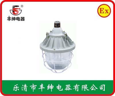 丰绅BAD55隔爆型防爆灯