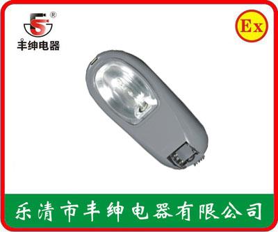 丰绅NLC9600道路灯