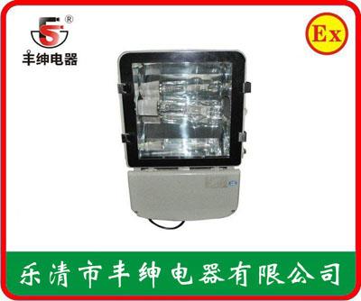 丰绅NTC9230高效中功率投光灯