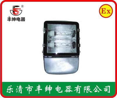 丰绅NFC9140节能型广场灯
