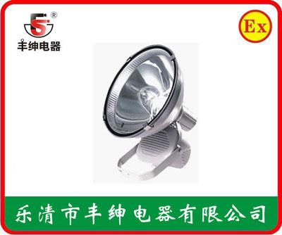 丰绅ZT6902防水防尘防震高亮度投光灯