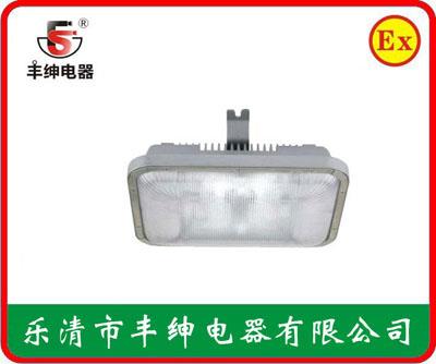 丰绅NFC9175长寿顶灯