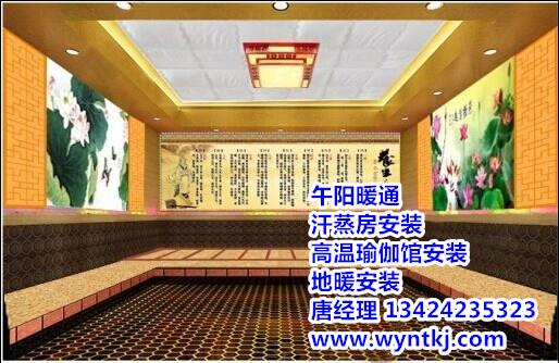 供应中山安然纳米汗蒸房安装，中山汗蒸房安装