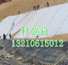 供应山东低密度聚乙烯厂家 低密度聚乙烯LDPE土工膜