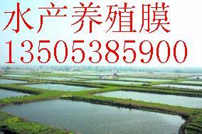 供应养殖防渗膜0.5毫米厚