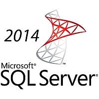 全新正版SQL Server 2014中文企业版1CPU立马拥有无限用户的权限