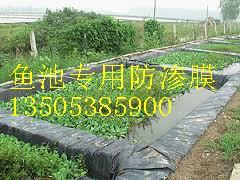 供应鱼池虾塘防渗养殖土工膜0.4毫米