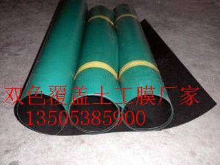 垃圾场覆盖专用双色防渗土工膜