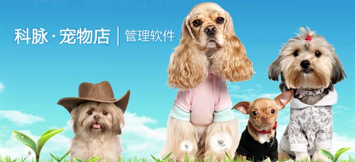 供应宠物店管理软件