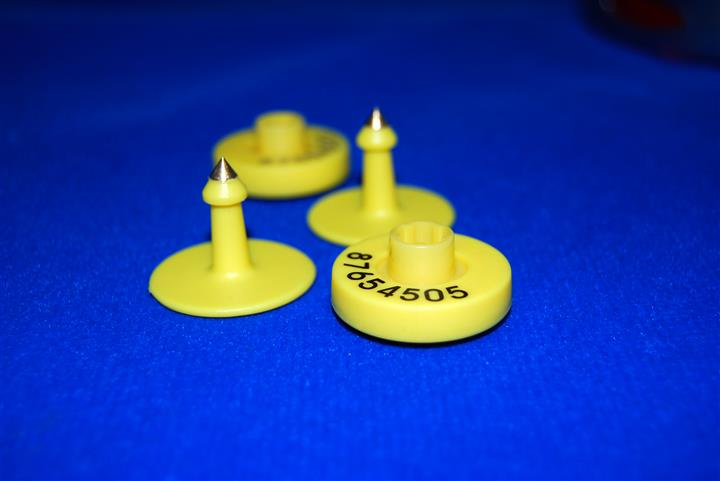 供应低频电子耳标