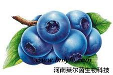供应厂家哪里卖花青素98价格多少钱实验室试剂