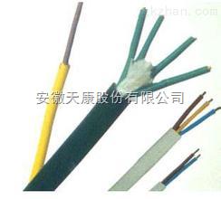 供应ZR-DJFGRP,DJFFP高温计算机电缆-安徽天康电缆