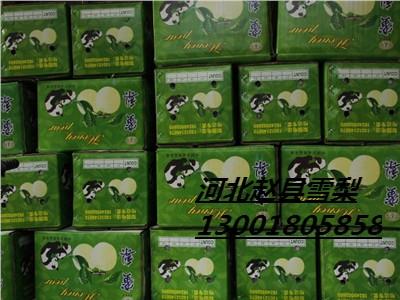 河北雪梨批发库存雪梨有学问