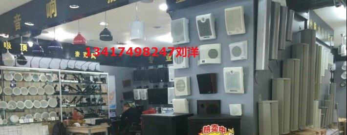 暗装明装有源天花喇叭厂家