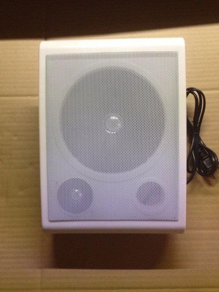 深圳品牌有源壁挂音箱AP-9060价格