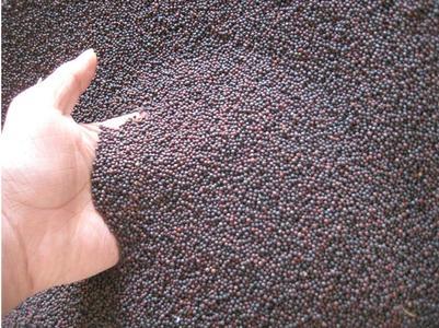 桃园农粮贸易公司企业介绍